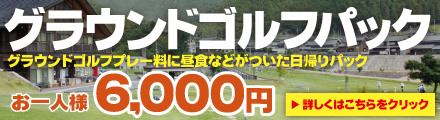 グラウンドゴルフプレー料に昼食・送迎がついた日帰りパック