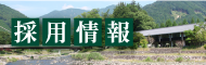 採用情報