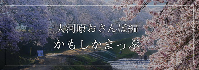 かもしか荘周辺マップ大河原編